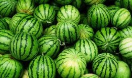 阳江网红吃瓜事件真相,揭秘背后真相与网络舆论的反思